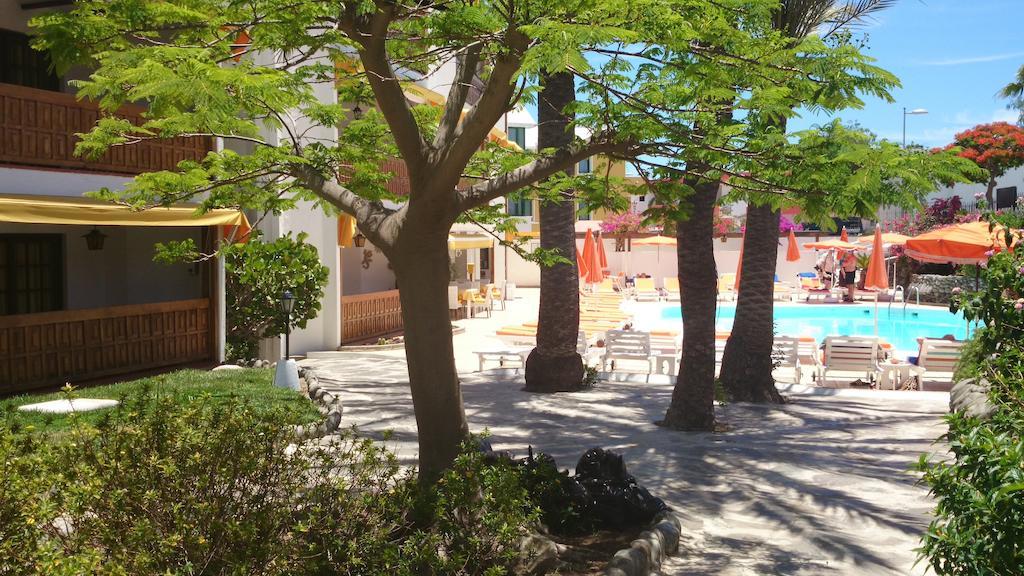 Club Canario Appartement